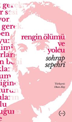 Rengin Ölümü ve Yolcu kapağı