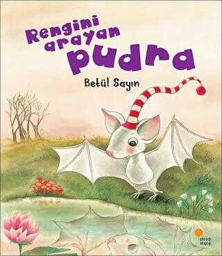 Rengini Arayan Pudra - Günışığı Kitaplığı