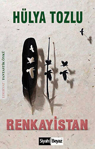 Renkayistan - Siyah Beyaz Yayınları