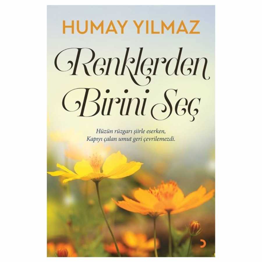 Renklerden Birini Seç - 1