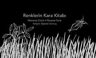 Renklerin Kara Kitabı - EDAM