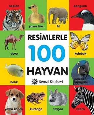 Resimlerle 100 Hayvan Küçük Boy