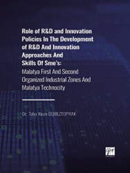 Role of R&D and Innovation Policies In The Development of R&D And Innovation Approaches And Skills Of Sme`s - Gazi Kitabevi