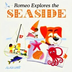 Romeo Explores The Seaside - Button Books
