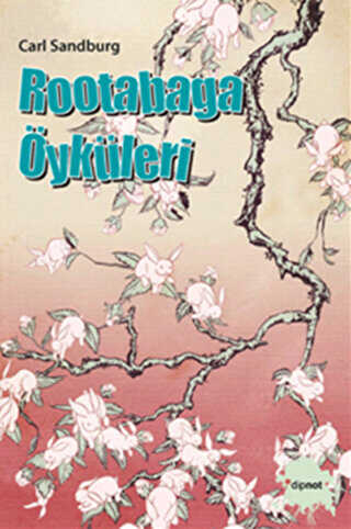 Rootabaga Öyküleri - Dipnot Yayınları