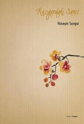 Rüzgardaki Sancı - Mühür Kitaplığı