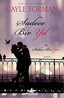 SADECE BİR YIL VE SADECE BİR GECE kapağı