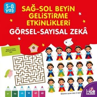 Sağ-Sol Beyin Geliştirme Etkinlikleri Görsel - Sayısal Zeka kapağı