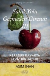 Sahil Yolu Geçmeden Giresun 3 - Dilkitap Yayınları