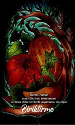 Şaman Defterleri - Biriktirme - Gece Kitaplığı