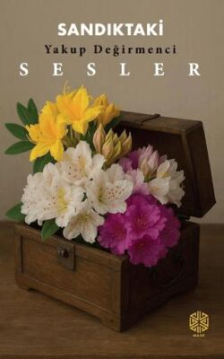 Sandıktaki Sesler - 1