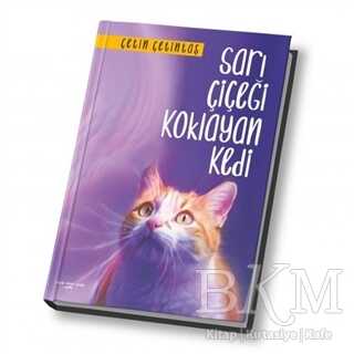 Sarı Çiçeği Koklayan Kedi - 1