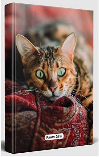 Şaşkın Kedi - Planlama Defteri - Halk Kitabevi