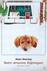 Satır Arasına Sığmayan - Cinius Yayınları