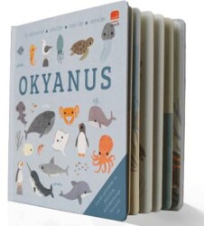 Say Bul Eğlen Okyanus - Uçan Fil Yayınları