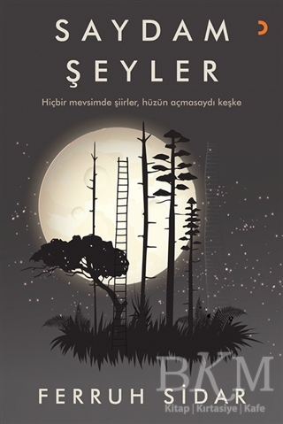 Saydam Şeyler - Cinius Yayınları