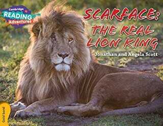 Scarface: The Real Lion King