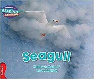 Seagull