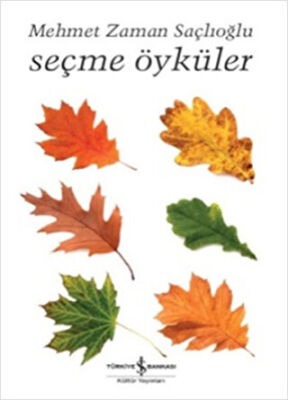 SEÇME ÖYKÜLER kapağı