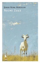 Şeker Renk Herzeler - A7 Kitap