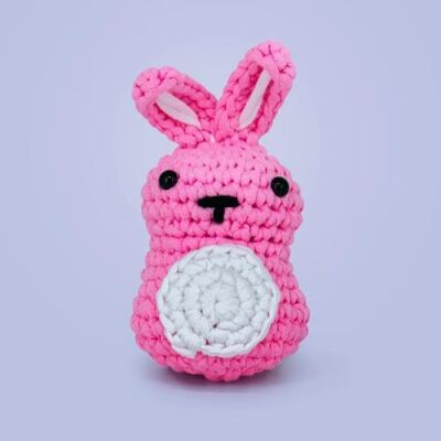 Selfi Tavşik Örgü Seti - 2