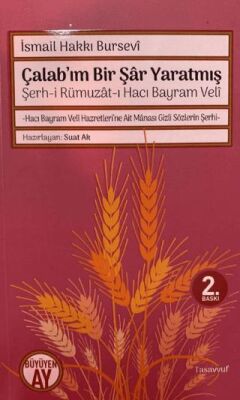 Şerh-i Rümuzat-ı Hacı Bayram Veli - Çalab’ım Bir Şar Yaratmış kapağı