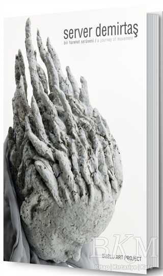Server Demirtaş: Bir Hareket Serüveni - A Journey of Movement - Bozlu Art Project