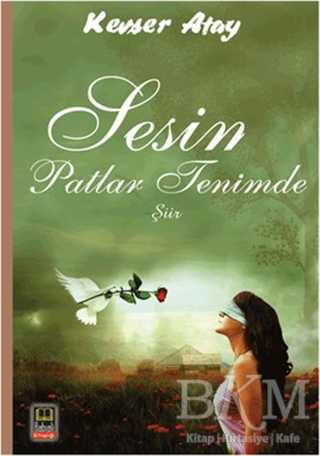 Sesin Patlar Tenimde - Ozan Yayıncılık