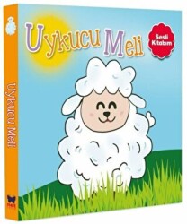Sesli Kitabım - Uykucu Meli - Net Çocuk Yayınları