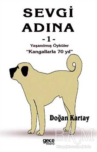 Sevgi Adına Öyküler 1 - Gece Kitaplığı