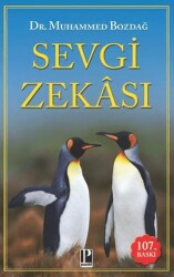 Sevgi Zekası - Pozitif Yayınları