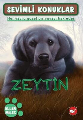 Sevimli Konuklar 3 - Zeytin - 1