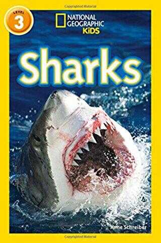 Sharks Readers 3