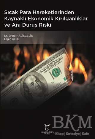 Sıcak Para Hareketlerinden Kaynaklı Ekonomik Kırılganlıklar ve Ani Duruş Riski - 1