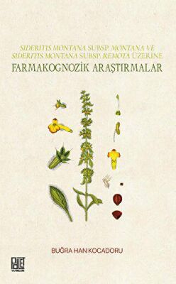 Sıderıtıs Montana Subsp. Montana Ve Sıderıtıs Montana Subsp. Remota Üzerine Farmakognozik Araştırmal - 1