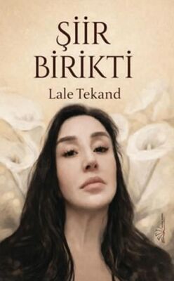 Şiir Birikti - 1