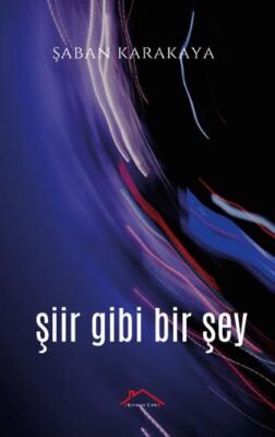 Şiir Gibi Bir Şey - 1