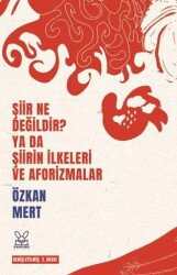 Şiir Ne Değildir? Ya da Şiirin İlkeleri ve Aforizmalar - Kanguru Yayınları