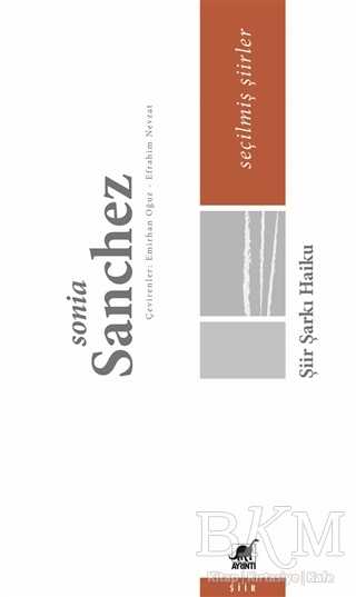 Şiir Şarkı Haiku - Seçilmiş Şiirler - Ayrıntı Yayınları