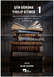 Şiir Uğruna Yıkılıp Gitmek 1 - Divit Kitabevi