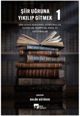 Şiir Uğruna Yıkılıp Gitmek 1 - 1
