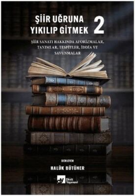 Şiir Uğruna Yıkılıp Gitmek 2 - 1