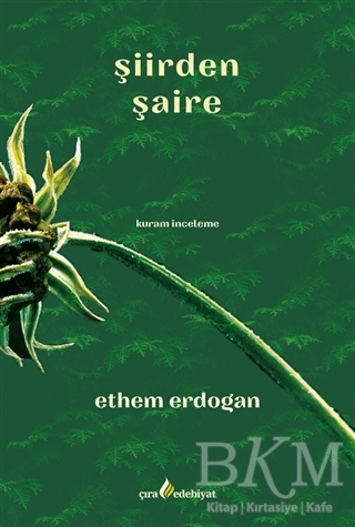 Şiirden Şaire - Çıra Yayınları