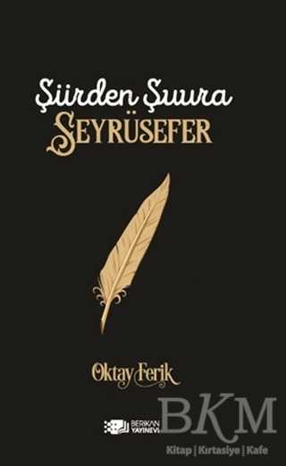 Şiirden Şuura Seyrüsefer - Berikan Yayınevi