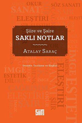 Şiire ve Şaire Saklı Notlar - 2