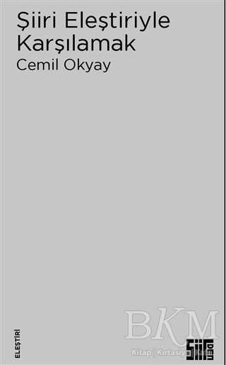 Şiiri Eleştiriyle Karşılamak - Şiirden Yayıncılık