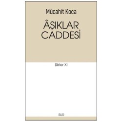 Aşıklar Caddesi - Sur Yayınları