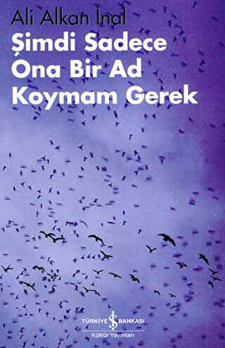 ŞİMDİ SADECE ONA BİR AD KOYMAM GEREK - İş Bankası Kültür Yayınları