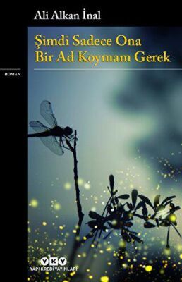 Şimdi Sadece Ona Bir Ad Koymam Gerek - 1