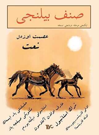 Sınıf Bilinci İkinci Merhale Dördüncü Nüsha - Tiyo Yayınevi